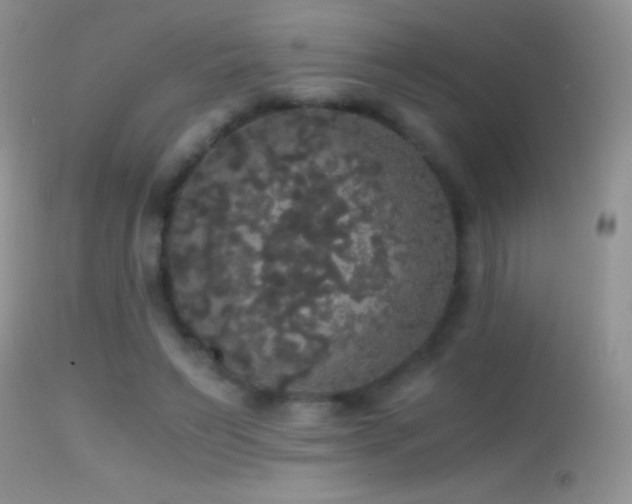X0000114640495200910201446
