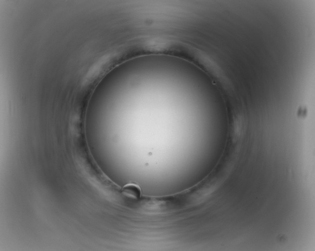 X0000114640497200910201446