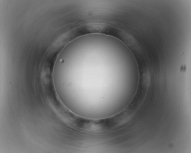 X0000114640498200910201446