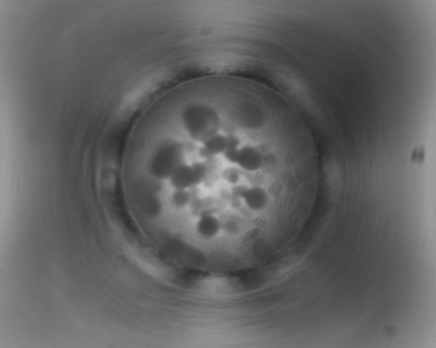 X0000114640499200910201446