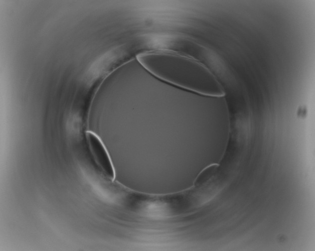 X0000114640500200910201446