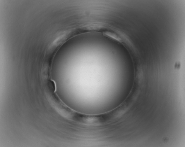 X0000114640501200910201446