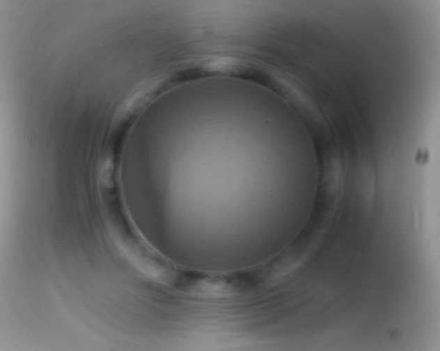 X0000114640502200910201446