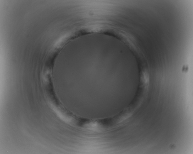 X0000114640503200910201446
