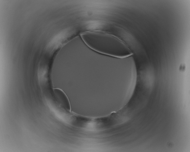X0000114640504200910201446