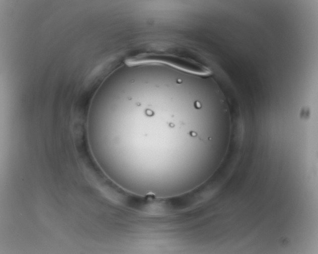 X0000114640505200910201446