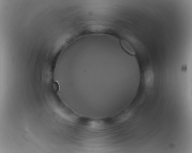 X0000114640508200910201446
