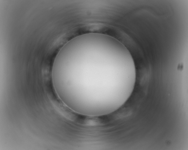 X0000114640510200910201446