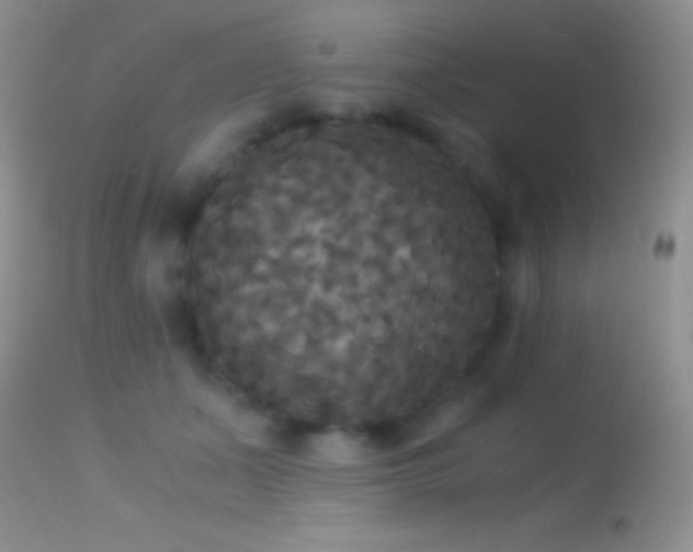X0000114640511200910201446
