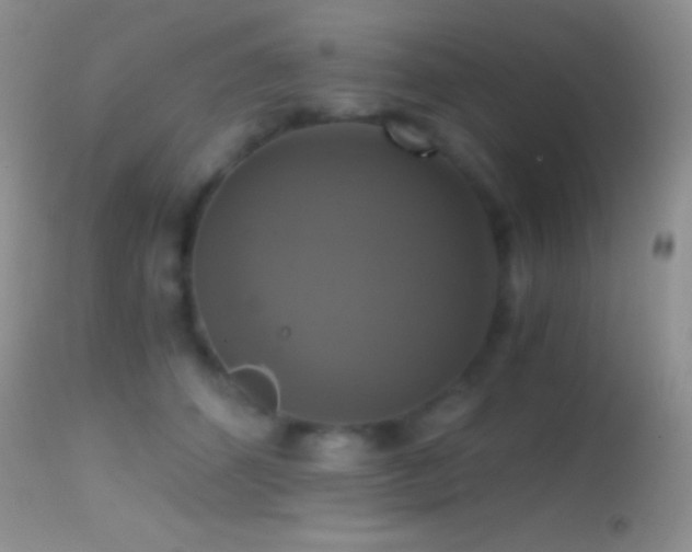 X0000114640512200910201446