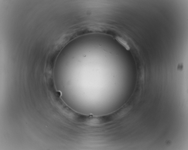 X0000114640513200910201445