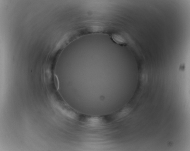 X0000114640516200910201445