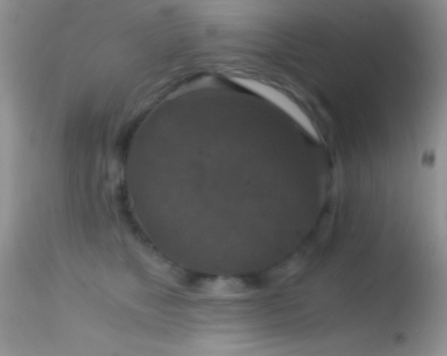X0000114640517200910201445