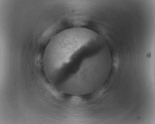 X0000114640519200910201445