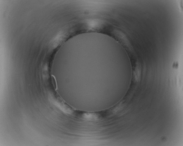 X0000114640520200910201445
