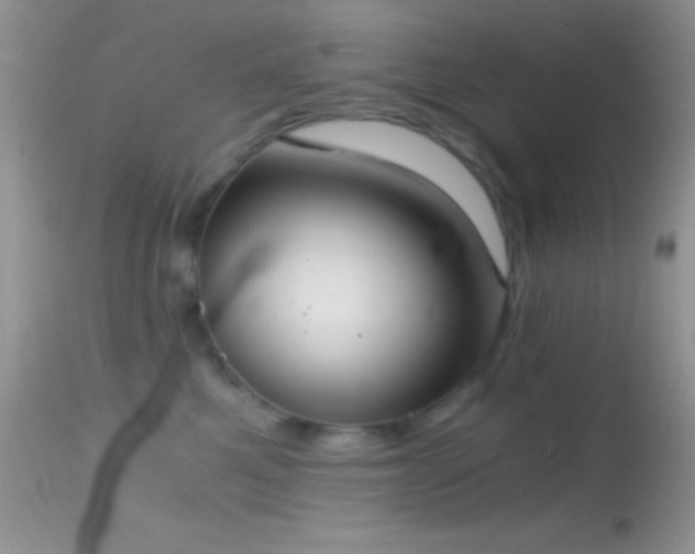 X0000114640521200910201445