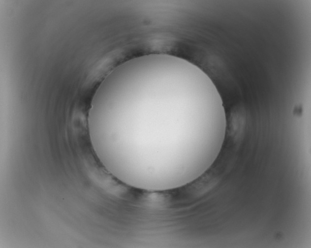 X0000114640522200910201445