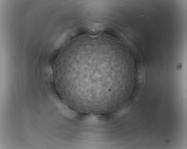 X0000114640523200910201445