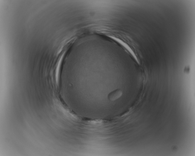 X0000114640524200910201445