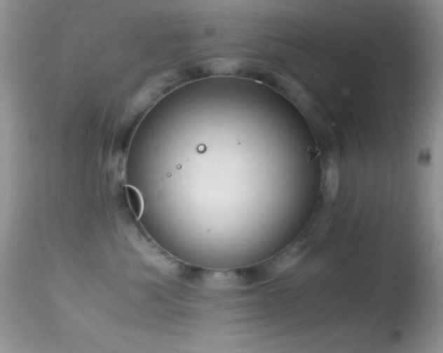 X0000114640525200910201445