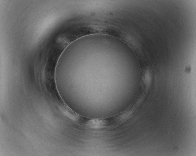 X0000114640526200910201445