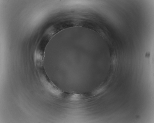 X0000114640527200910201445