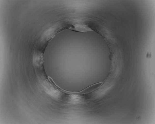 X0000114640528200910201445