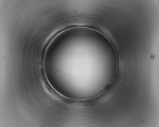 X0000114640530200910201445