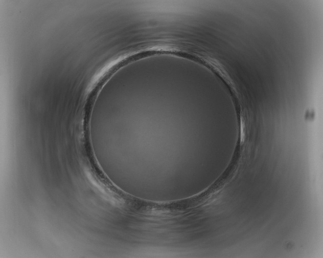 X0000114640531200910201445