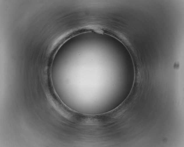 X0000114640535200910201445
