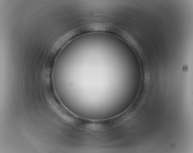 X0000114640537200910201445