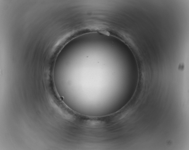 X0000114640539200910201445