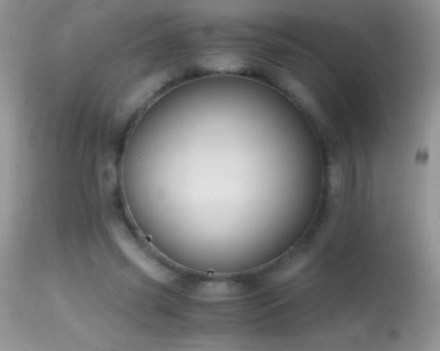 X0000114640541200910201445
