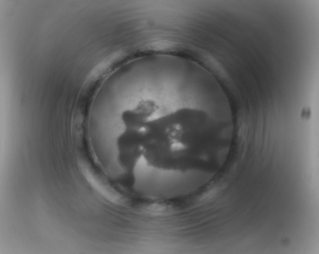 X0000114640542200910201445