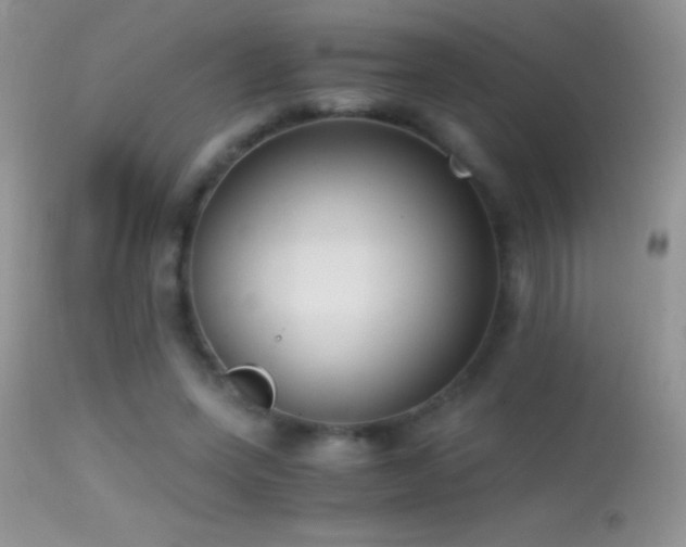 X0000114640543200910201445