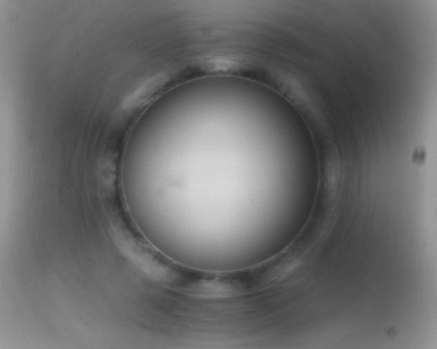X0000114640545200910201445