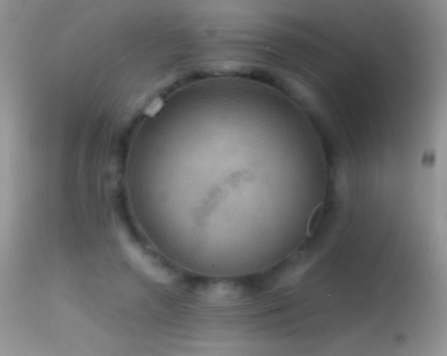 X0000114640546200910201445
