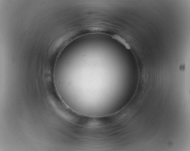 X0000114640547200910201445