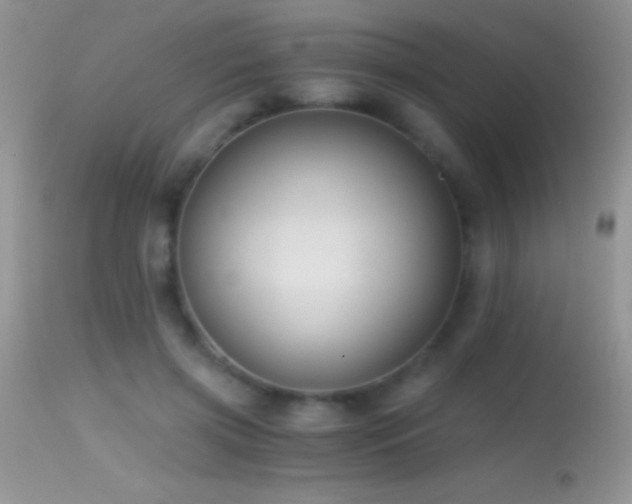 X0000114640549200910201445