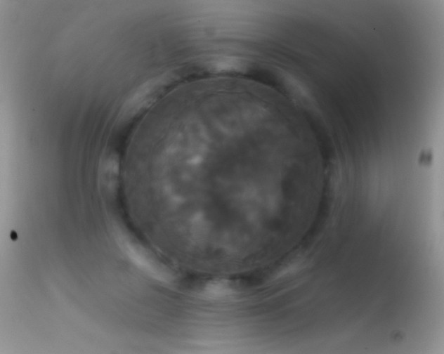 X0000114640550200910201445