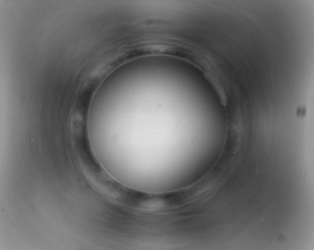 X0000114640551200910201445