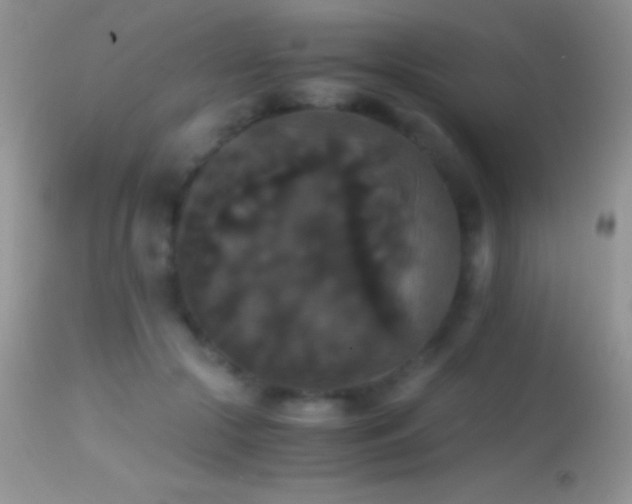 X0000114640553200910201445
