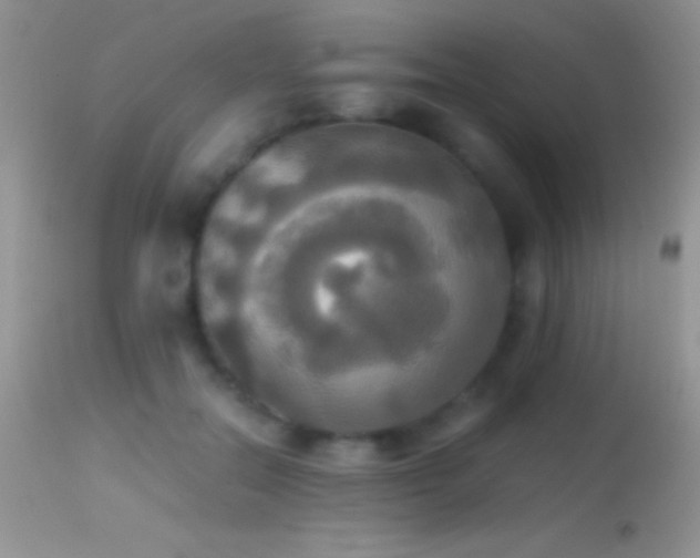 X0000114640554200910201445