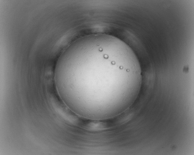 X0000114640557200910201445