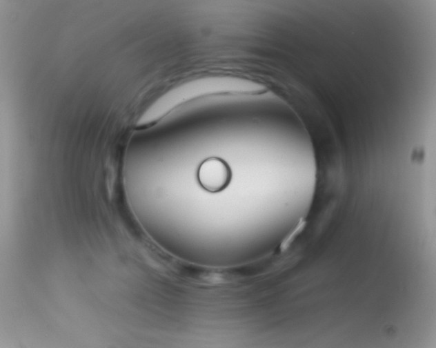 X0000114640558200910201445