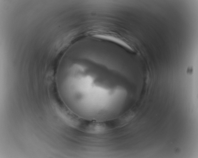 X0000114640559200910201445