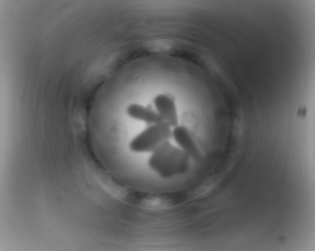 X0000114640561200910201445