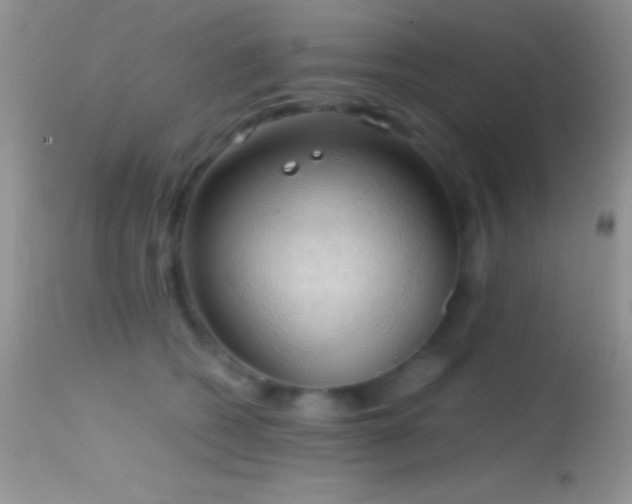 X0000114640562200910201445