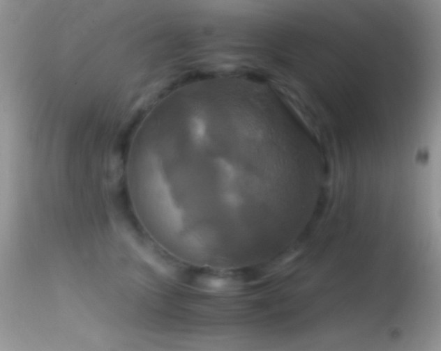 X0000114640563200910201445