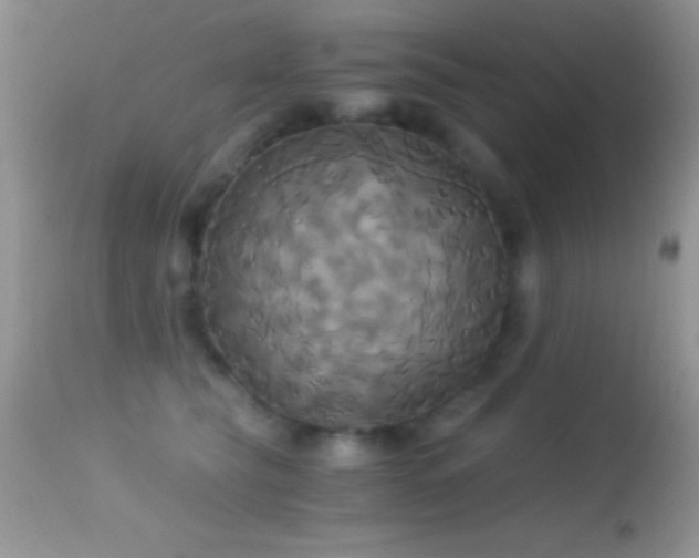 X0000114640565200910201445